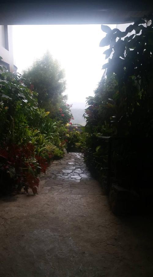 Ddd Heritage Inn Banaue Luaran gambar